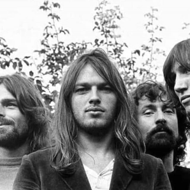 David Gilmour